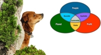 Triple Bottom Line Venn Diagram Contemplating the Triple Bottom Line
