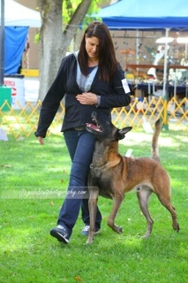 Sandra Mannion & Havoc demonstrating a beautiful connection while heeling.