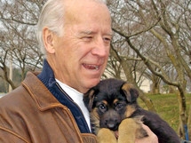 ap_biden_dog_018214_main.jpg