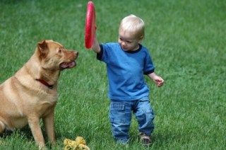 Let's play! Baby and dog with frisbee