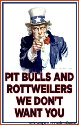 uncle sam says no pits and rotties no pits and rotties