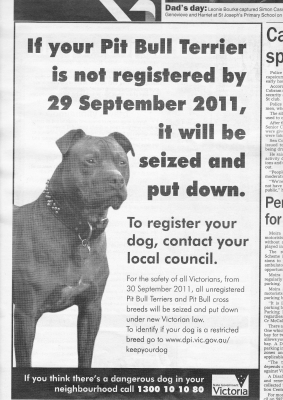 AUSTRALIAN_AD_FOR_KILLING_22PIT_BULLS22.jpg