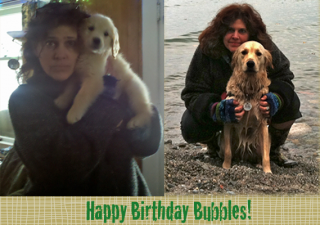 Bubbles-is-1.png