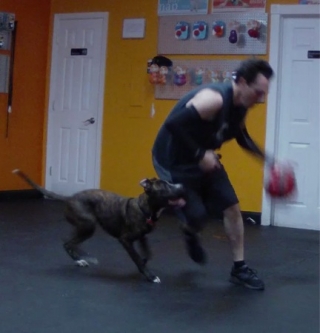 Classic_Belly_Ball_move_Tre_in_persuit_Drau_on_the_dribble.jpg