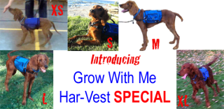 Grow-With-Me-Special-Montage.png