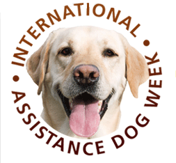 IADW-image.png