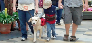 Sam and Bubbles at the Mall