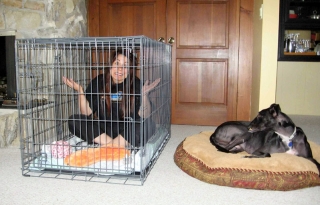 Dog Owner in Crate with Dog Relaxing Outside Crate