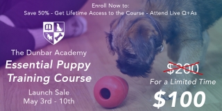 The Essential Puppy Training Course - 50% off for a limited time