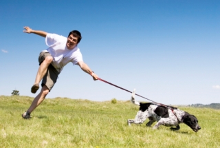 iStock_000011514816XSmall.jpg