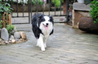 iStock_000021341115XSmall.jpg