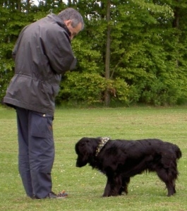 rogerabrantesanddog.jpg Roger Abrantes and dog.
