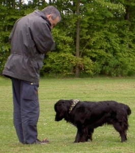 Roger Abrantes and dog.