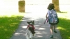 Walking a dog