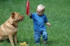 Baby and dog with frisbee
