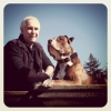 Ian Dunbar with his American Bulldog, Dune