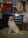 Bridget poses in front of a tool box