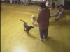 Embedded thumbnail for Recall From Play - SIRIUS Puppy Training Classic