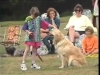 Embedded thumbnail for Energizing Beth- Dog Training for Children