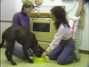 Embedded thumbnail for Food Bowl Handling - SIRIUS Puppy Training Classic