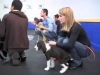 Embedded thumbnail for Grab Collar &amp;amp; Give Treat - SIRIUS Puppy Training Redux