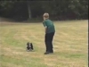 Embedded thumbnail for Following - Dog Training for Children