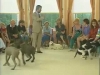 Embedded thumbnail for Serious Playtime Recalls - Training the Companion Dog 1 – Socialization &amp;amp; Training