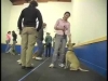 Embedded thumbnail for Meet, Greet, Repeat – SIRIUS Adult Dog Training