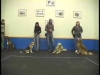 Embedded thumbnail for Woof Relay – SIRIUS Adult Dog Training