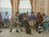 Embedded thumbnail for Perfecting Recall Sits - Training the Companion Dog 4 – Recalls &amp;amp; Stays