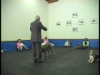 Embedded thumbnail for Distance Position Changes – SIRIUS Adult Dog Training