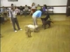 Embedded thumbnail for Improving Recall - SIRIUS Puppy Training Classic