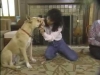 Embedded thumbnail for Handling &amp;amp; Examining - SIRIUS Puppy Training Classic