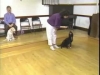 Embedded thumbnail for Luring for Children - SIRIUS Puppy Training Classic