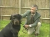 Embedded thumbnail for Adult Rottweiler - Training the Companion Dog 1 – Socialization &amp;amp; Training