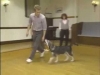 Embedded thumbnail for Every Dog is Different - SIRIUS Puppy Training Classic