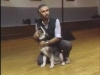 Embedded thumbnail for Puppy Biting - SIRIUS Puppy Training Classic