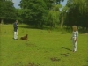 Embedded thumbnail for Distance Sit 2 - Improving - Training Dogs with Dunbar