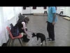 Embedded thumbnail for Four Feet on the Floor: Jumping up behaviour in puppies and dogs