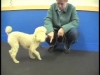 Embedded thumbnail for Heeling Explained – SIRIUS Adult Dog Training