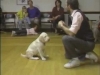 Embedded thumbnail for Off with Charlotte - SIRIUS Puppy Training Classic