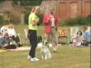 Embedded thumbnail for Praising Stays - Dog Training for Children