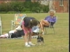 Embedded thumbnail for Come &amp;amp; Sit - Dog Training for Children