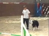 Embedded thumbnail for AGILITY Slowing Down - Dog Training for Children