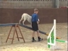 Embedded thumbnail for AGILITY Contact Points - Dog Training for Children