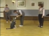 Embedded thumbnail for Heeling Tips - SIRIUS Puppy Training Classic