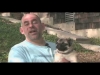 Embedded thumbnail for (Part 2) Steve Brooks – The Heeler