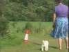 Embedded thumbnail for Heeling Course - Training the Companion Dog 3 – Walking &amp;amp; Heeling