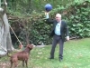 Embedded thumbnail for Keep-away With Ball