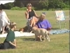 Embedded thumbnail for Keep them Going - Dog Training for Children